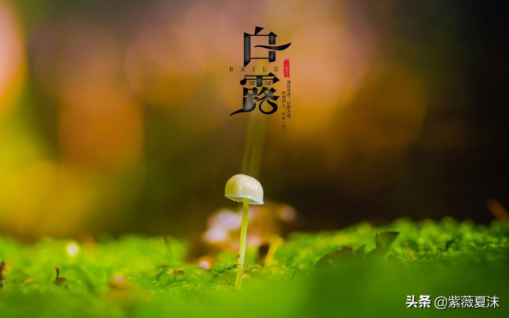 白露时节邂逅良缘，哪些星座将迎来桃花运巅峰？  第1张