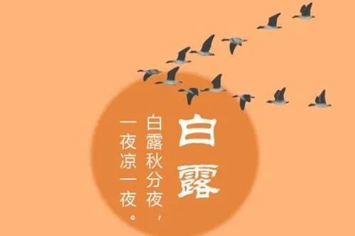 2024 年白露节气：天气转凉，农作物收获，转运方法与建议