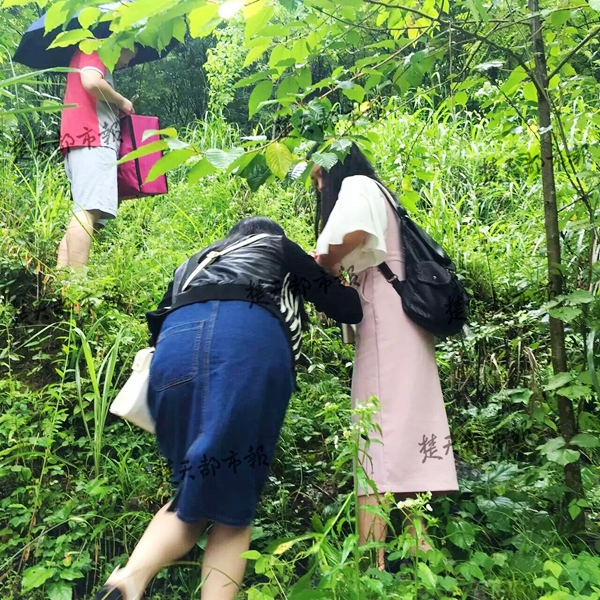 阐释(2023年澳门开奖结果)山东临沂遭遇暴雨袭击，部分小区地下室被淹，新郎冒雨用花轿接新娘