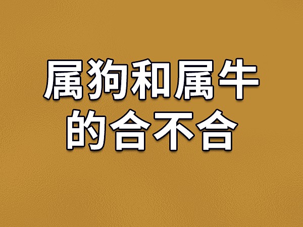 生肖属牛的读者朋友们，你们为何长吁短叹？  第1张