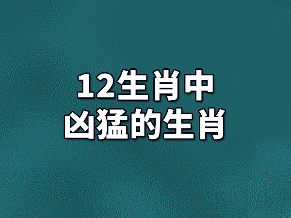 生肖运势：鼠成聚会焦点，牛乐于助人，虎宜低调稳重  第2张