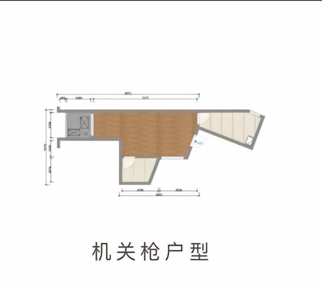 管家婆精准资料大全免费,奇葩户型似恐龙，却遭疯抢！售价 499 万，究竟有何魔力？  第3张