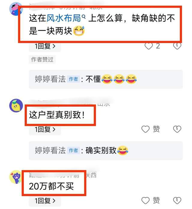 管家婆精准资料大全免费,奇葩户型似恐龙，却遭疯抢！售价 499 万，究竟有何魔力？  第8张