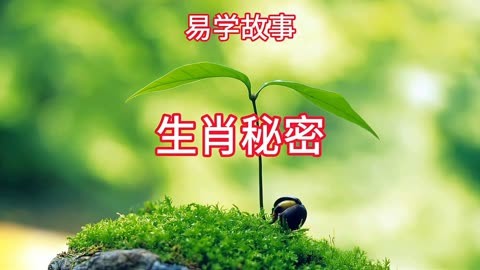 探究父母子女关系奥秘：生肖与星座的文化视角解读  第1张