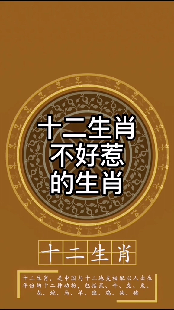 十二生肖中，这三个生肖因太完美而让人产生距离感，你知道吗？  第1张